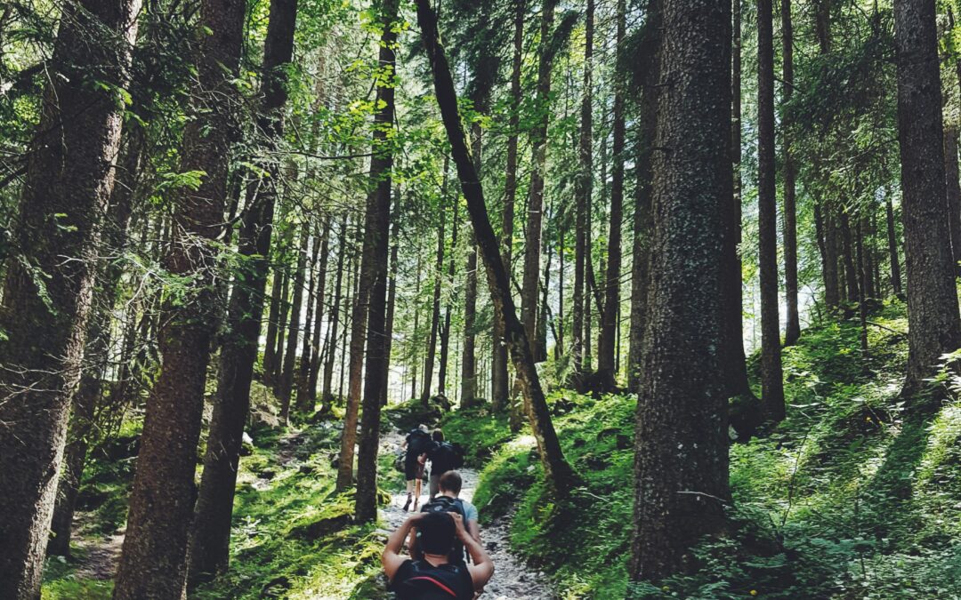 Must-Have Outdoor Gear for Every Adventure Seeker