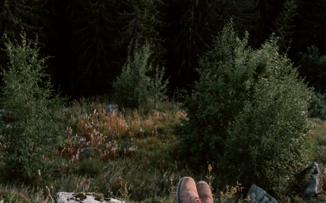Master 10 Essential Survival Skills for Outdoor Adventures